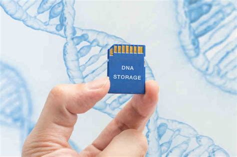 Dna data storage. Things To Know About Dna data storage. 
